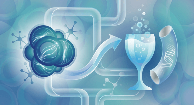 Is it safe to drink soda while taking atorvastatin?