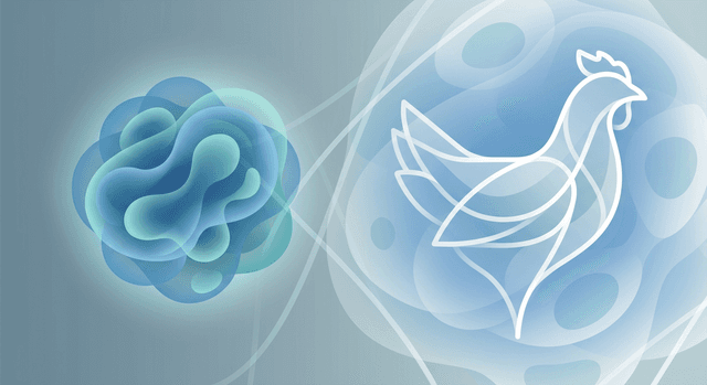 Can cancer patients eat chicken safely?