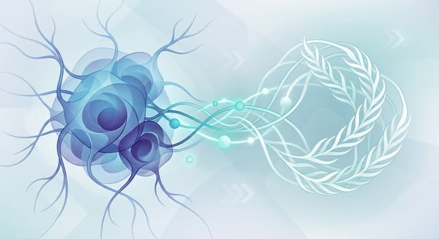 Gluten and Cancer: Is It Safe to Eat?