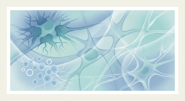 Low Iron in Cancer: What It Means and What to Do