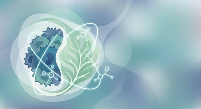 Is Spinach Safe for People With Cancer?