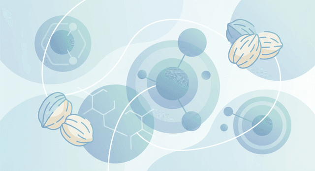 Based on FDA | Is it safe for someone with a peanut or tree nut allergy to take clopidogrel, or does it contain any nut-derived ingredients?