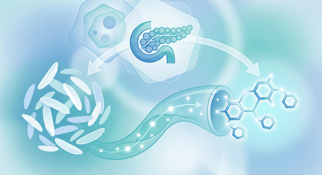 Based on NIH | Does eating white rice regularly increase the risk of developing type 2 diabetes?