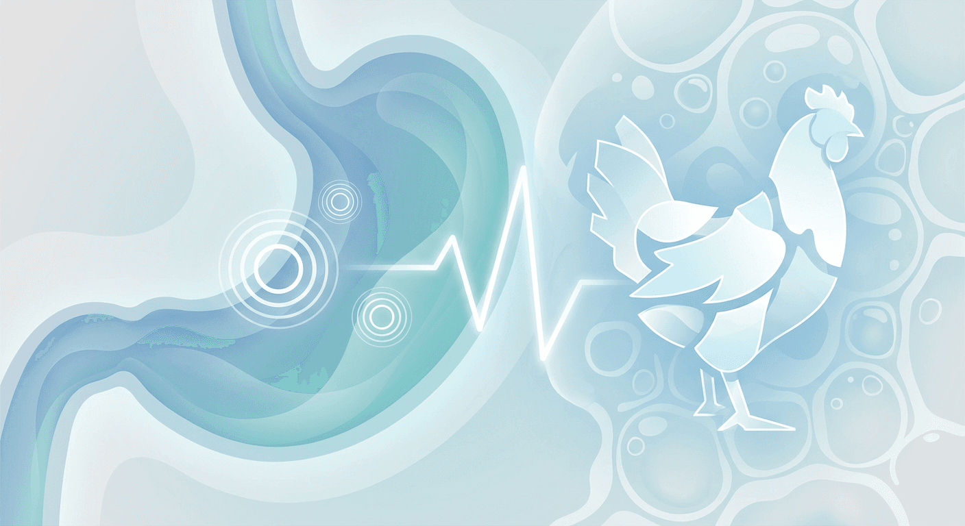 Medical illustration for Based on CDC | Can eating undercooked chicken lead to gastritis? - Persly Health Information