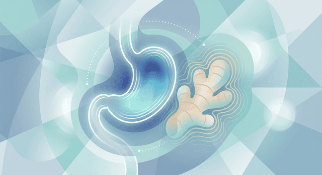 Based on PubMed | Does ginger help relieve gastritis symptoms?