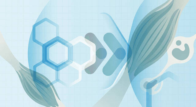 Does naproxen contain any beef- or bovine-derived ingredients, and is it safe for someone with an alpha-gal (red meat) allergy to use?