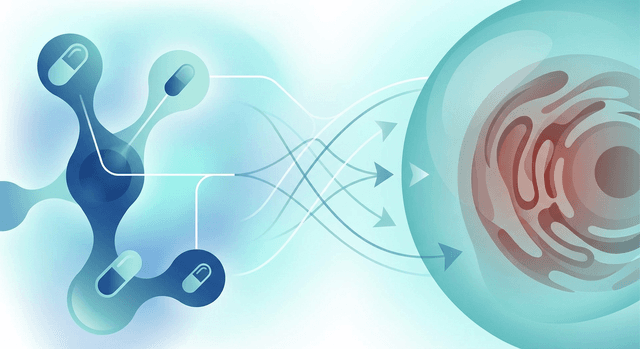 Based on WHO | Can eating beef or beef liver affect warfarin’s effectiveness or my INR levels?