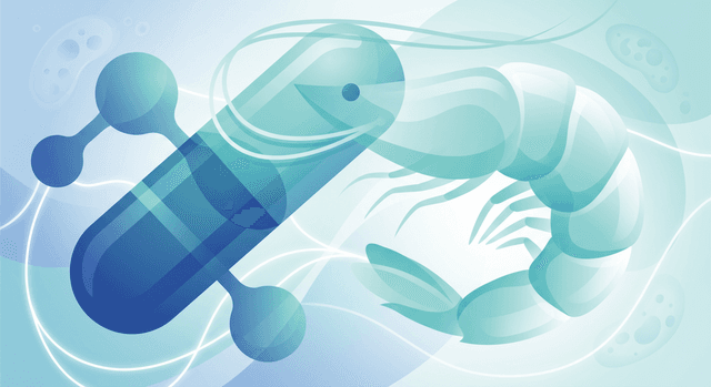 Based on NIH | Is it safe to eat shrimp while taking warfarin, or could it interact and change my INR?