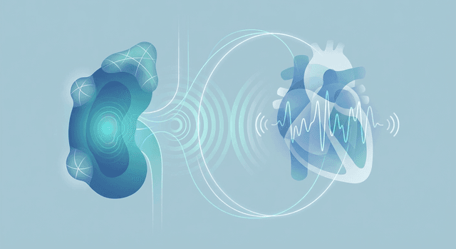 Based on WHO | Can adrenal cancer cause heart palpitations, and what warning signs suggest the palpitations are due to excess adrenal hormones?