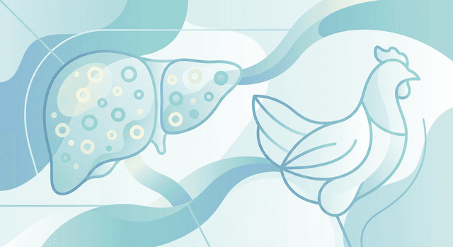 Basado en NIH de EE.UU. | ¿Es cierto que comer pollo, especialmente frito, empeora la enfermedad del hígado graso?