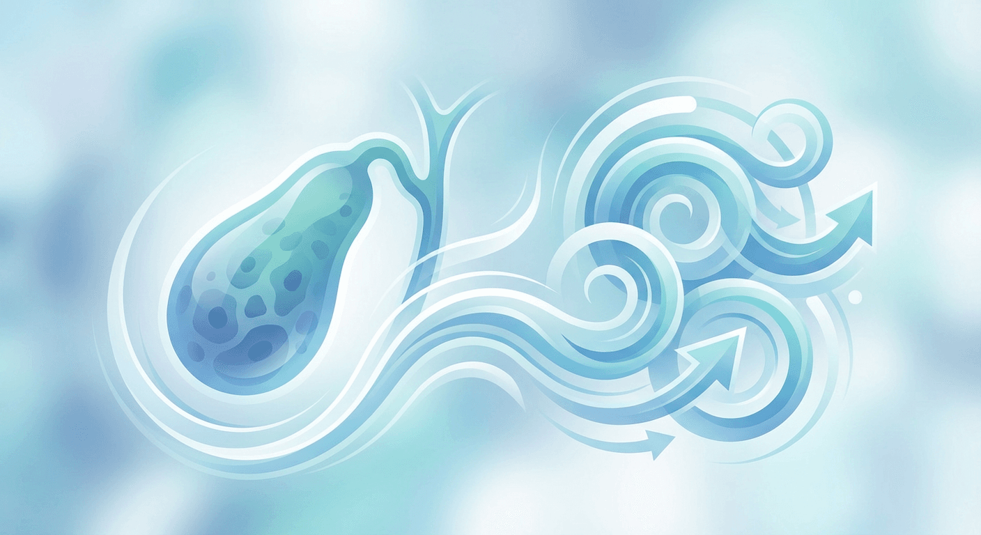 Medical illustration for 基于PubMed资料 | 规律运动是否能降低胆囊癌的发生风险? - Persly Health Information