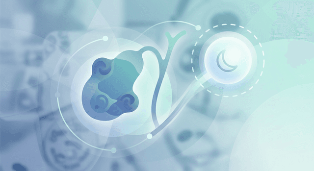 PubMedの資料に基づく | 胆嚢癌患者で血中25-ヒドロキシビタミンDが低値と判定された場合、この検査結果は予後や治療方針の決定にどのような意味がありますか?