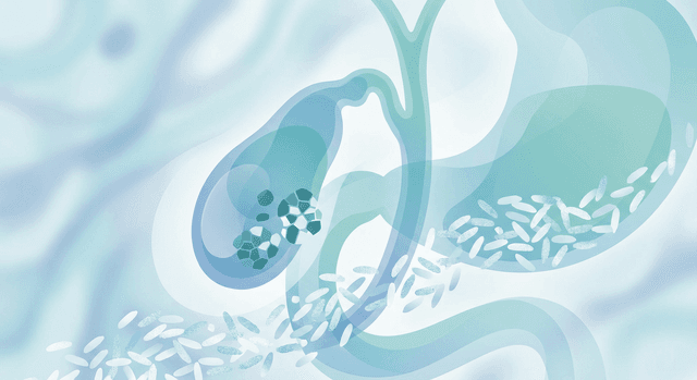 Based on PubMed | Does eating rice increase the risk of gallbladder cancer?