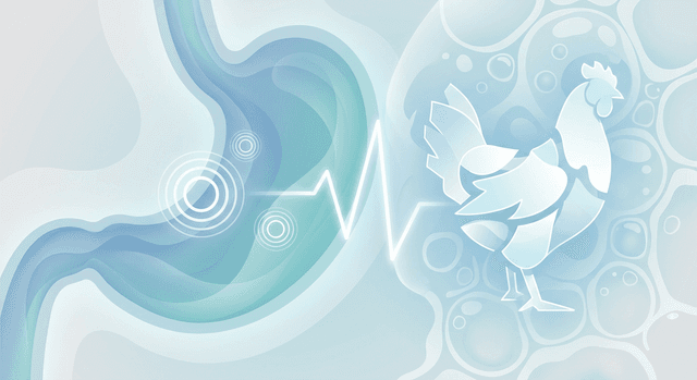 PubMedの資料に基づく | 鶏皮や唐揚げなどの脂っこい鶏料理は胃炎を悪化させるって本当ですか?