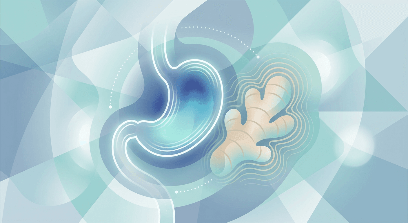 Medical illustration for Basado en PubMed | ¿Es cierto que el jengibre cura la gastritis? - Persly Health Information