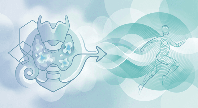 Basado en NIH de EE.UU. | ¿Es cierto que las personas con tiroiditis de Hashimoto deben evitar el ejercicio vigoroso?