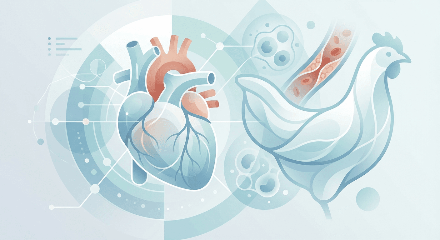 Medical illustration for 基于PubMed资料 | 经常吃炸鸡会增加心脏病风险吗? - Persly Health Information