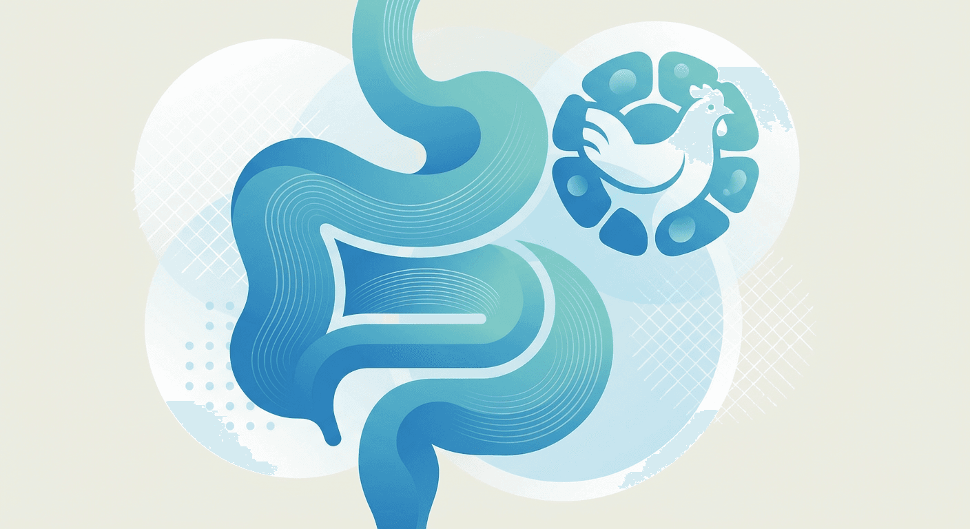 Medical illustration for 基于PubMed资料 | 网上说肠易激综合征患者不能吃鸡肉,会加重腹痛和腹泻,这是真的吗? - Persly Health Information