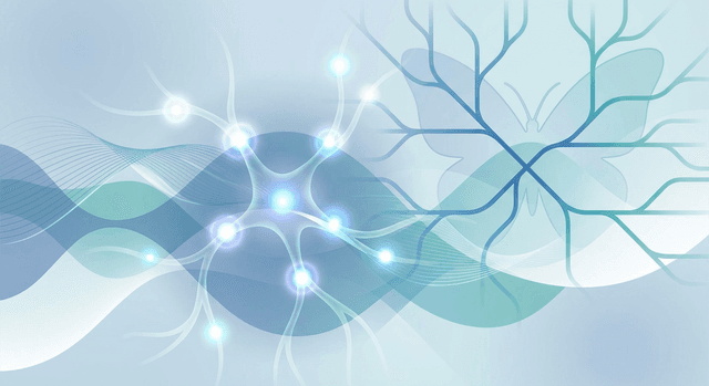 PubMed 자료 기반 | 루푸스에서 손발 저림 증상은 왜 발생하며 주로 어떤 양상과 부위로 나타나나요?