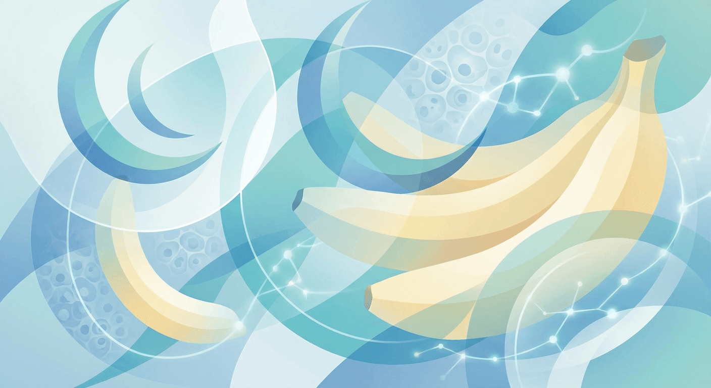 Medical illustration for 服用泼尼松期间可以吃香蕉吗?香蕉会与泼尼松产生相互作用或影响血钾水平吗? - Persly Health Information