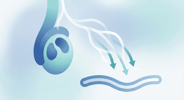 PubMedの資料に基づく | 精巣がん患者で低血圧がみられる場合、検査結果として確認すべき所見(腫瘍マーカー〔β-hCG・AFP・LDH〕、電解質、腎機能、コルチゾール値、甲状腺機能、画像での副腎病変など)は何ですか?