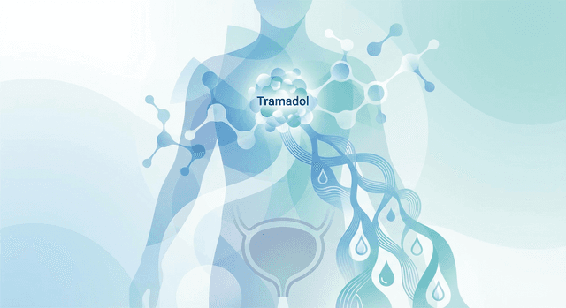 Based on NIH | Is frequent urination a side effect of tramadol, and when should I seek medical evaluation if I experience increased urinary frequency while taking it?